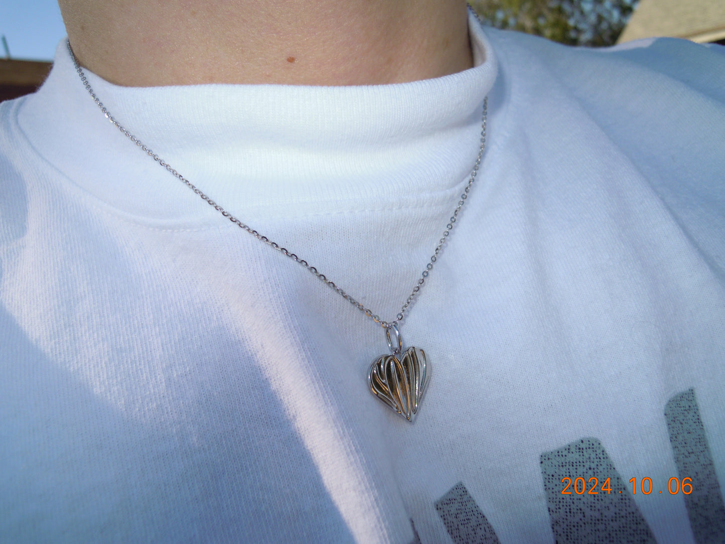 SS Chain & HNS Pendant - HeartnsoulJJ