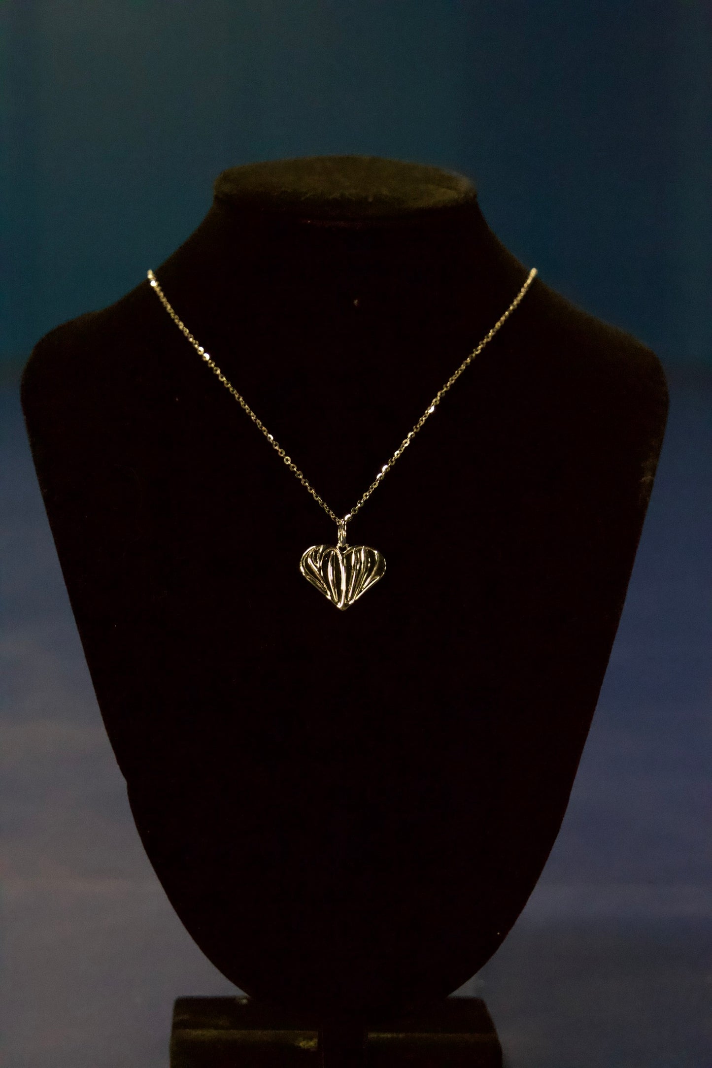 SS Chain & HNS Pendant - HeartnsoulJJ